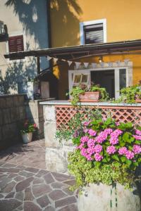 Zahrada ubytování Studio Apartman Ikarka
