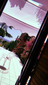 una ventana con vistas a un patio con una silla y flores en Il Paradiso Di Hyele, en Ascea