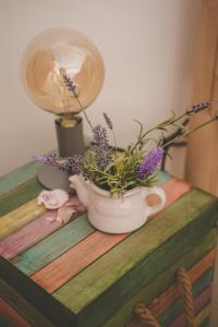 Fotografie z fotogalerie ubytování Studio Apartman Ikarka v destinaci Ika