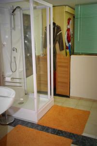 a bathroom with a shower and a sink at Apartment Heidi in Oberasbach