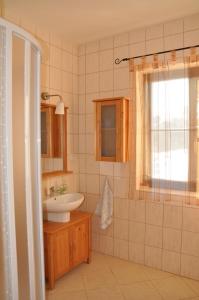 Roudnice的住宿－Apartmán Vítkovice，一间带水槽和淋浴的浴室