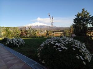 a snow covered mountain in the distance with flowers at Good Morning Etna in Bronte