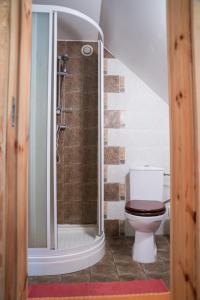 ein Bad mit Dusche und WC in der Unterkunft Aavikunurga Guesthouse in Kõiguste