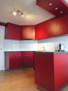 una cocina con armarios rojos y fregadero en Hüslermatte 1, en Oberiberg