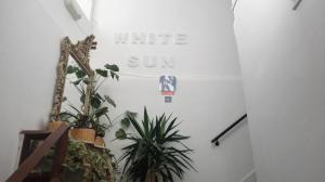 a wall with a white sun sign and some plants at White Sun Hostel in Lagos