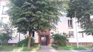 a white building with a tree in front of it at GreatLoft Apartament in Oświęcim