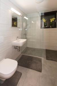 ein Bad mit einem WC und einem Waschbecken in der Unterkunft Apartma Spaans in Radovljica