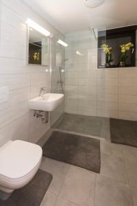 Koupelna v ubytování Apartma Spaans
