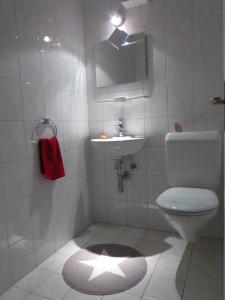 a bathroom with a toilet and a sink at Hüslermatte 1 in Oberiberg