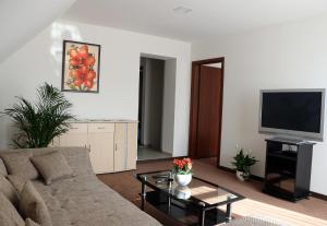 Televízia a/alebo spoločenská miestnosť v ubytovaní SeSil Apartman
