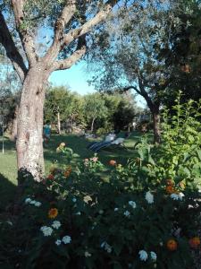 Un árbol en un parque con flores en la hierba en agriturismo masseria pallanzano en Otranto