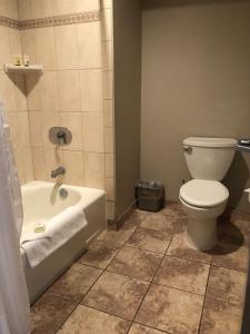 a bathroom with a toilet and a bath tub at Shilo Inn Killeen in Killeen
