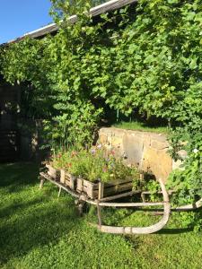 Κήπος έξω από το Appartement Traunseeferien