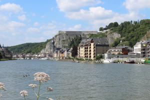 a view of a river with buildings and a mountain at Au bois charmant in Waulsort
