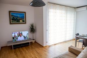 Televízia a/alebo spoločenská miestnosť v ubytovaní Apartment Lunta 2
