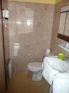 La salle de bains est pourvue de toilettes et d'un lavabo. dans l'établissement Hôtel Restaurant du Pont Vieux, à Camarès