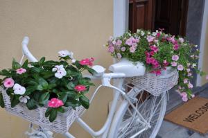Fotografie z fotogalerie ubytování aMarti Suites B&B v destinaci Santo Stefano di Magra