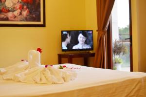 TV/trung tâm giải trí tại Panda Garden Homestay