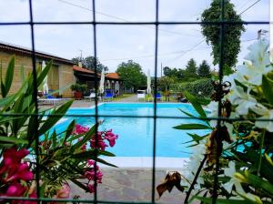 Bassein majutusasutuses Il Fontanile või selle lähedal