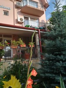 Zahrada ubytování Casa Dalena