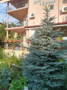 Zahrada ubytování Casa Dalena