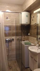 a bathroom with a shower and a toilet and a sink at Apartman Vukovic in Bijela