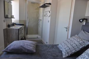 エペルネーにあるPanorama center cityのベッドルーム1室(ベッド1台、シンク、シャワー付)