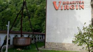 Gallery image of Family Hotel Virgin in Ribarica