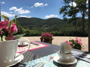 a table with a tea set with a view of the mountains at Agriturismo Le Catre in Castagneto Carducci