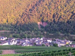un pueblo en un viñedo junto a una montaña en Fewo Gästezimmer, en Ellenz-Poltersdorf