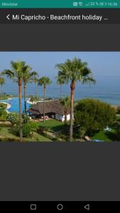 a picture of a resort with palm trees and the ocean at Mi Capricho in Sitio de Calahonda +58 photos