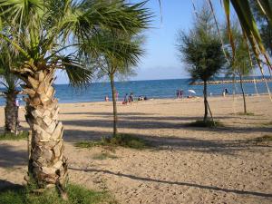 un palmier sur une plage avec des gens dans l'eau dans l'établissement Camping les Acacias, à Fréjus