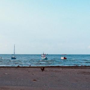 drie boten drijvend in het water op een strand bij Seawave Black Sea Coast in Constanţa