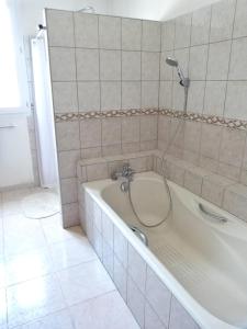 a bathroom with a bath tub with a shower at Chambres Salvaterra in Sauveterre