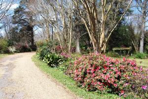 Zahrada ubytování Glenfield Plantation Historic Antebellum Bed and Breakfast