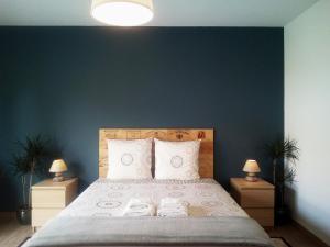 リブルヌにあるHôtes de Libourneの青い壁のベッドルーム1室(大型ベッド1台付)