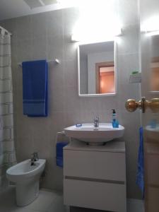 ブラナスにあるApartamento Blanes Nautic Portのバスルーム(洗面台、トイレ、鏡付)