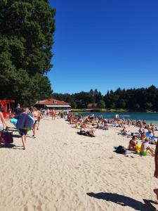 een grote groep mensen op een strand bij Exclusive Dachgeschosswohnung in Haren/Emmeln in Haren