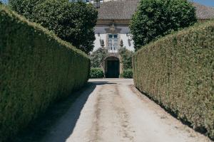 a dirt road in front of a house with hedges at Casa Dos Pombais in Guimarães