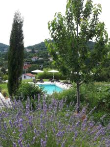 ogród z fioletowymi kwiatami i basenem w obiekcie Guest House Stancija Kovacici w mieście Opatija