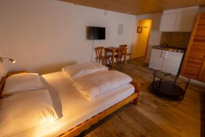 TV a/nebo společenská místnost v ubytování Hotel Restaurant Simplon