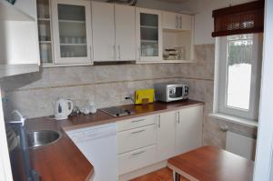 Kuchyň nebo kuchyňský kout v ubytování Guesthouse Leiputrija