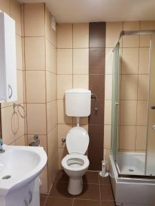 a bathroom with a toilet and a sink and a shower at Apartment Nina in Zlatibor