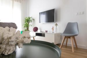 Televízia a/alebo spoločenská miestnosť v ubytovaní El rincón de Orive
