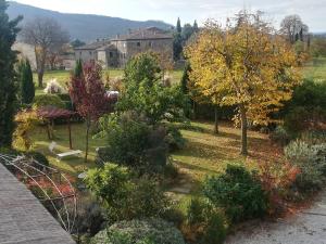 a garden with a bench and trees and a house at Holiday Home Il Moro Novo in Cortona