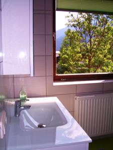 Haus Alpina tesisinde bir banyo