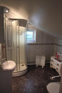y baño con ducha y lavamanos. en 1 Room in The Yellow House, close to Airport & Lofoten, en Evenskjer