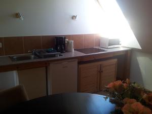 Kuchyň nebo kuchyňský kout v ubytování Camping & Guest House Pliskovice