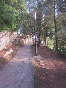 a street light next to a path in a park at Apartments Danilo Kažanegra in Sveti Stefan