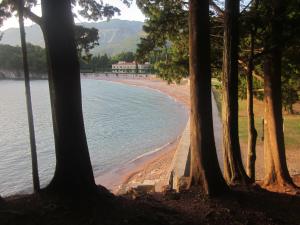 a beach with trees in front of the water at Apartments Danilo Kažanegra in Sveti Stefan